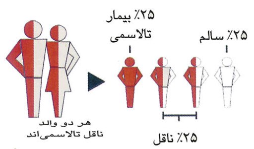 ارائه خدمات سرپایی وبستری رایگان به 44 بیمار تالاسمی استان